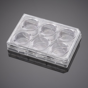 Corning BioCoat Fibrillar Collagen Inserts with 1.0µm Polyester (PET) Membrane in four 6 Well Plates