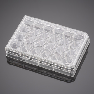 Corning BioCoat Control Inserts with 1.0µm Polyester (PET) Membrane in two 24 Well Plates, 12/Pack,