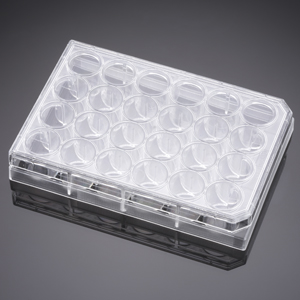 Corning® BioCoat™ Matrigel® Growth Factor Reduced Matrix 24 W Clear Plt for Smooth Muscle Cells, F B