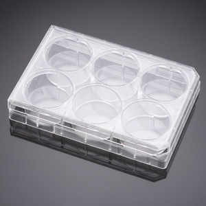 Corning® BioCoat™ Poly-L-Lysine 6 Well Clear Flat Bottom TC-Treated  Multiwell Plate, with Lid, 5/Pa