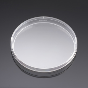 细菌学巴氏培养皿 150X15MM 标准型 10个/包 100个/箱