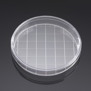 细胞培养皿 TC表面处理 表面处理 150X25MM  20MM网格型 10个/包 100/箱