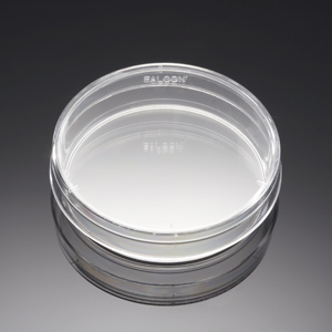 DISH PRIMARIA 60X15MM STYLE 20P 200CS