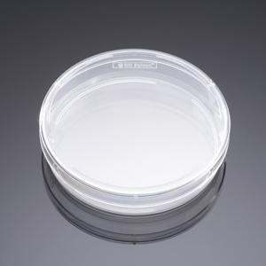 DISH PRIMARIA 100X20MM STYLE 20P 200CS