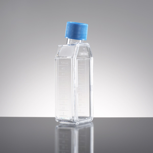 FLASK PRIMARIA 25CM2 50ML CNTD VENTED