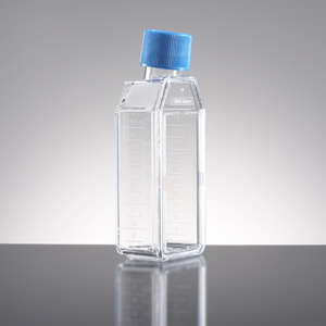 FLASK PRIMARIA 25CM2 50ML CANTED PLGSL