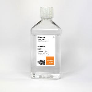 10X TRIS BUFFER SALINE