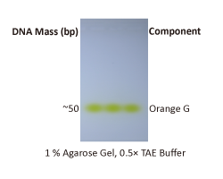 ExcelDye 6X DNA Loading Dye, Orange, 5 ml x 2