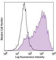 Human monocytes-derived dendritic cells were