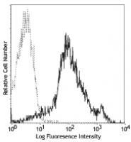FITC anti-mouse/human CD44