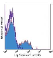 Human peripheral blood lymphocytes stained with HCD56 PE/Cy7 PE/Cy7 anti-human CD56 (NCAM)
