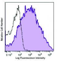 PE/Cy7 anti-human CD25