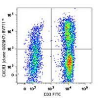 Brilliant Violet 711™ anti-human CD183 (CXCR3)