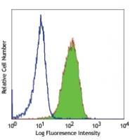 Purified anti-human CD172b (SIRPβ)