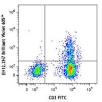 Brilliant Violet 605™ anti-human CD279 (PD-1)