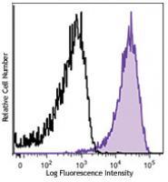 Brilliant Violet 421™ anti-human CD107a (LAMP-1)