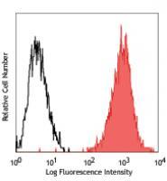 PE anti-human PSMA (FOLH1)