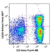 Brilliant Violet 650™ anti-human CD183 (CXCR3)