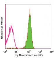 Human peripheral blood lymphocytes stained with BJ40 FITC FITC anti-human CD48