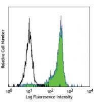 Purified anti-human CD172a/b (SIRPα/β)