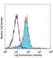 PE anti-human CD215 (IL-15Rα)