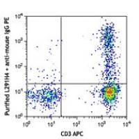 Purified anti-human CD194 (CCR4)