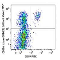 Brilliant Violet 785™ anti-human CD196 (CCR6)